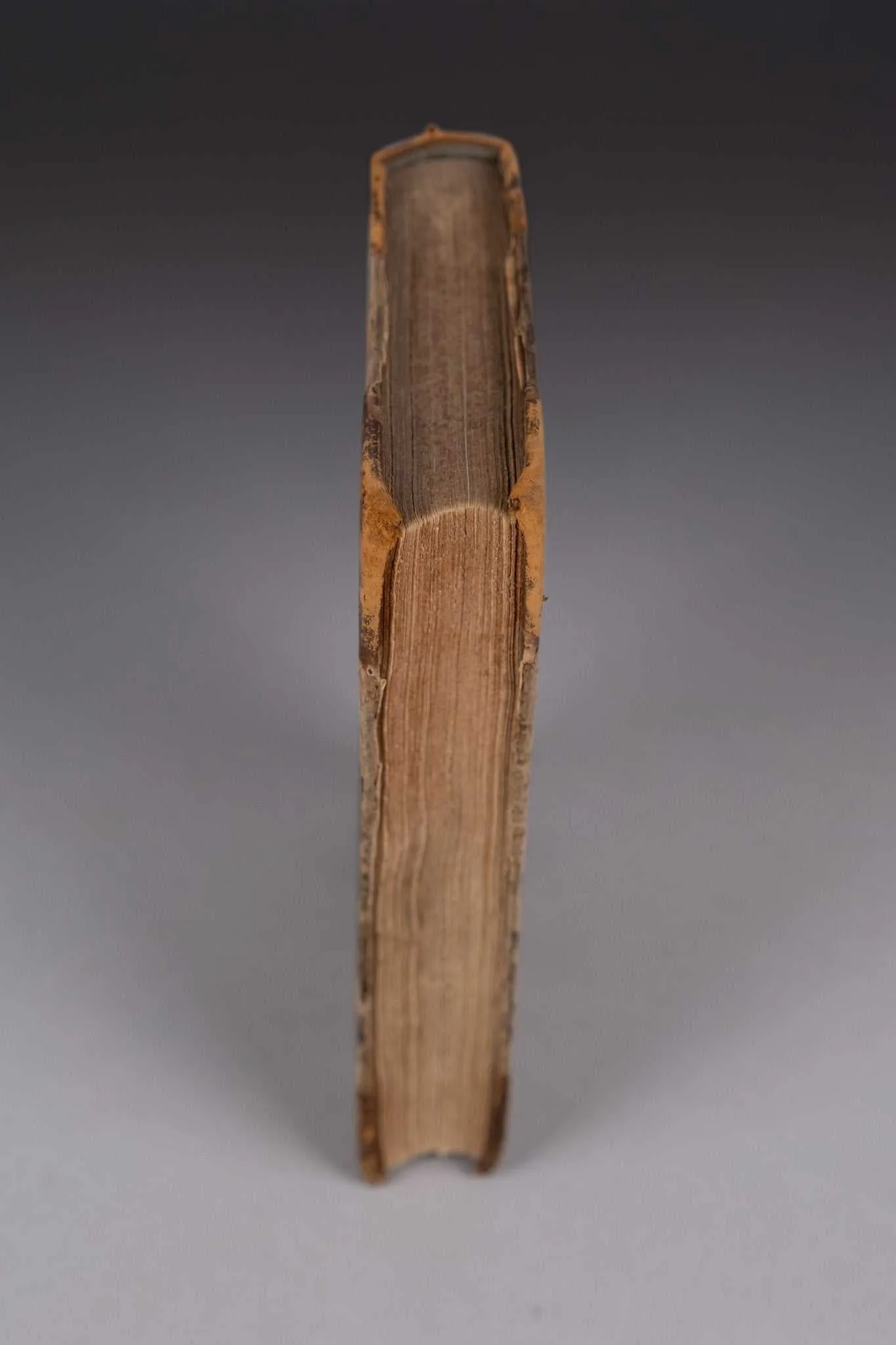 1847 The African Wanderers by Mrs. R. Lee. First Edition. Scarce Work.