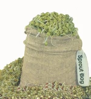 Envirothreads - Hemp Sprout Bag