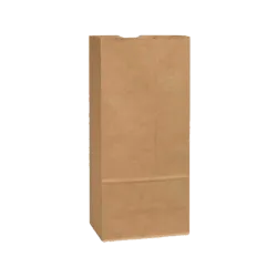 Kraft Paper Bag #57