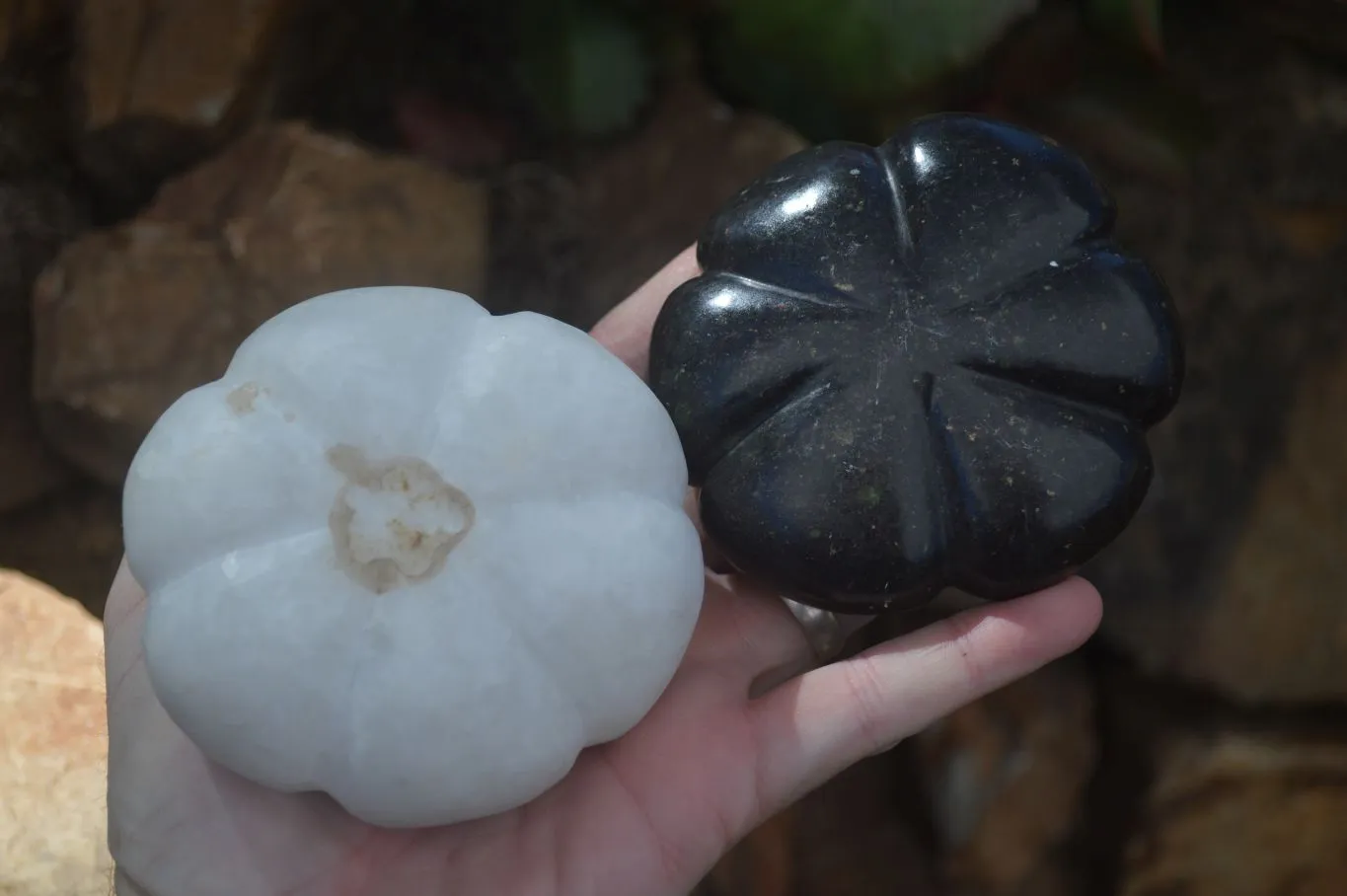 Polished Mixed Stone Pumpkin Carvings x 3 From Zimbabwe